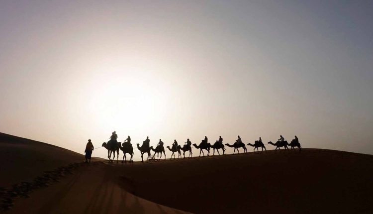 گمشدن گذرنامه تو عراق؟ این کارها رو انجام بده!